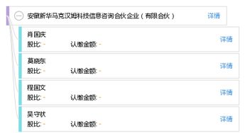 安徽新華馬克漢姆科技信息咨詢(xún)合伙企業(yè) 聚焦信息技術(shù)咨詢(xún)的專(zhuān)業(yè)服務(wù)
