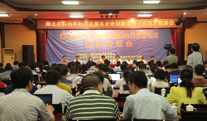 湖北省科學(xué)技術(shù)協(xié)會(huì) 賦能企業(yè)數(shù)字化轉(zhuǎn)型的信息技術(shù)咨詢(xún)服務(wù)